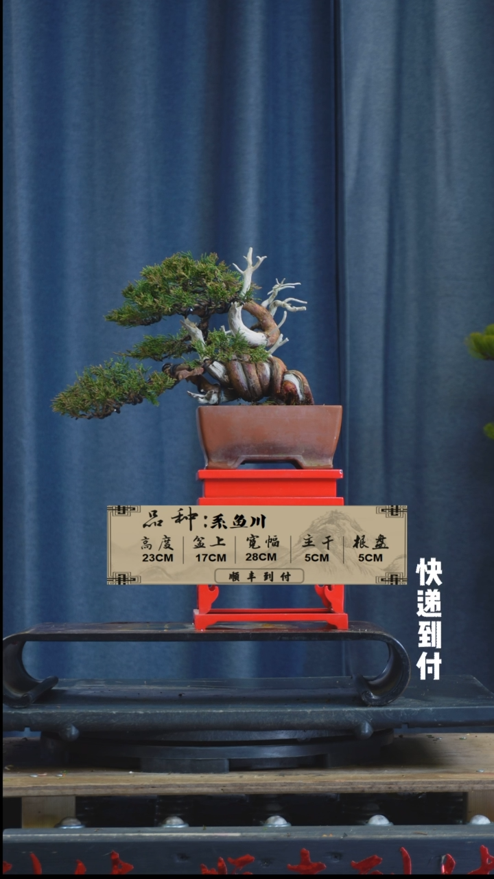 【闪购商品】1z237  系鱼川  不包邮
