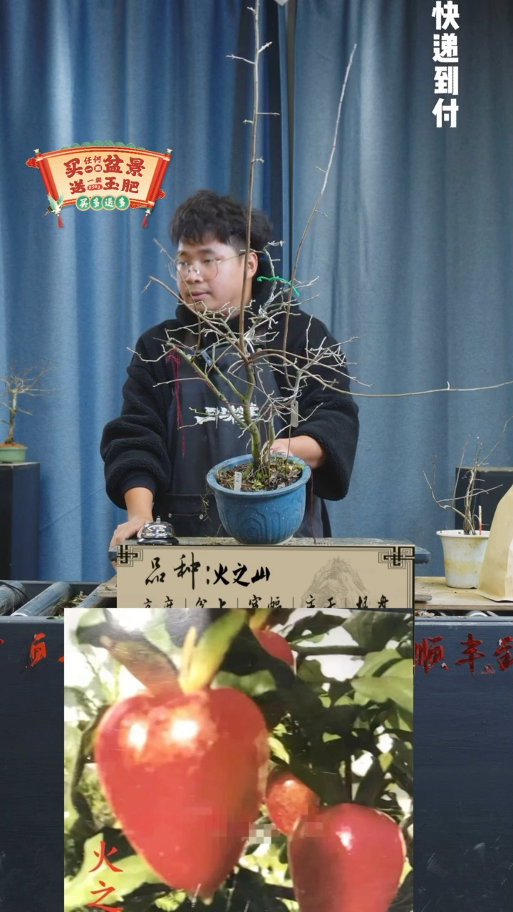 【闪购商品】1331火之山