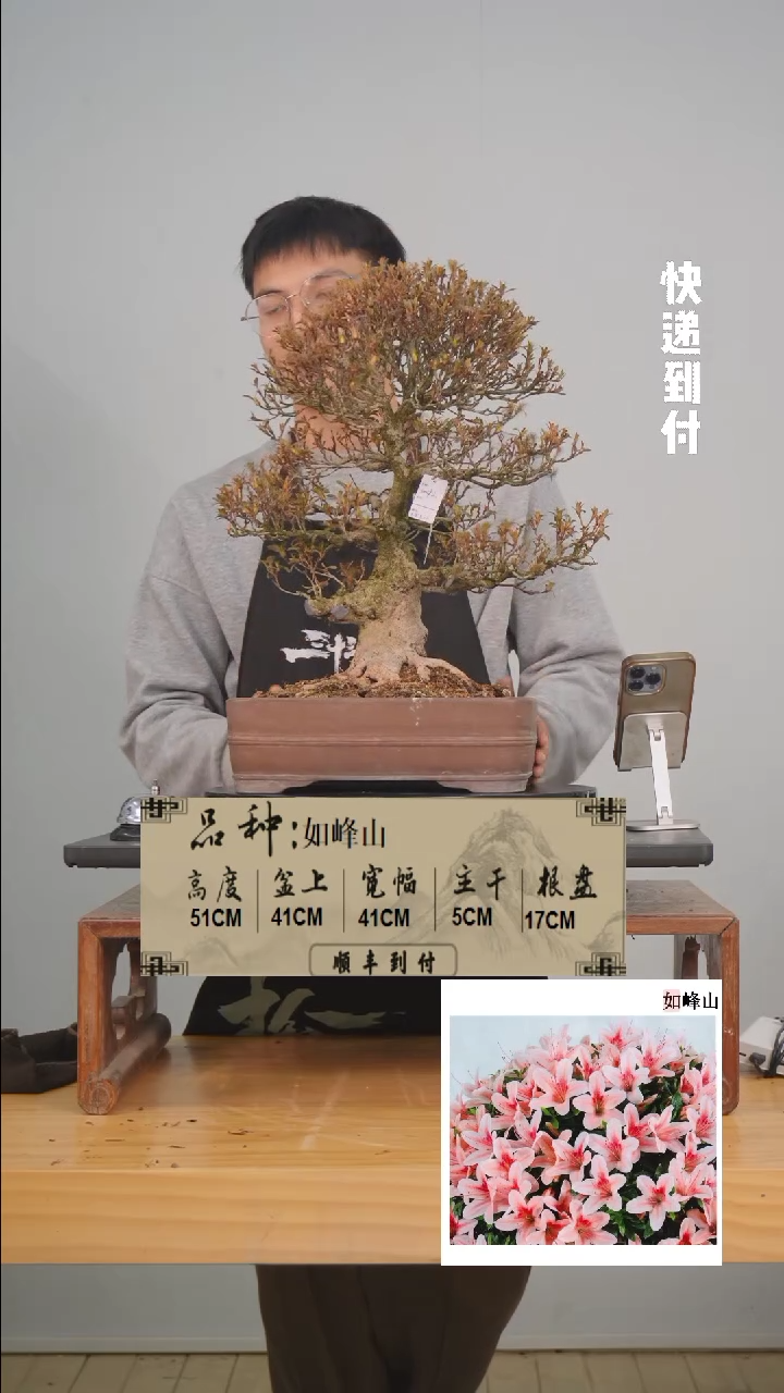 【闪购商品】1f157如峰山bubaoyou