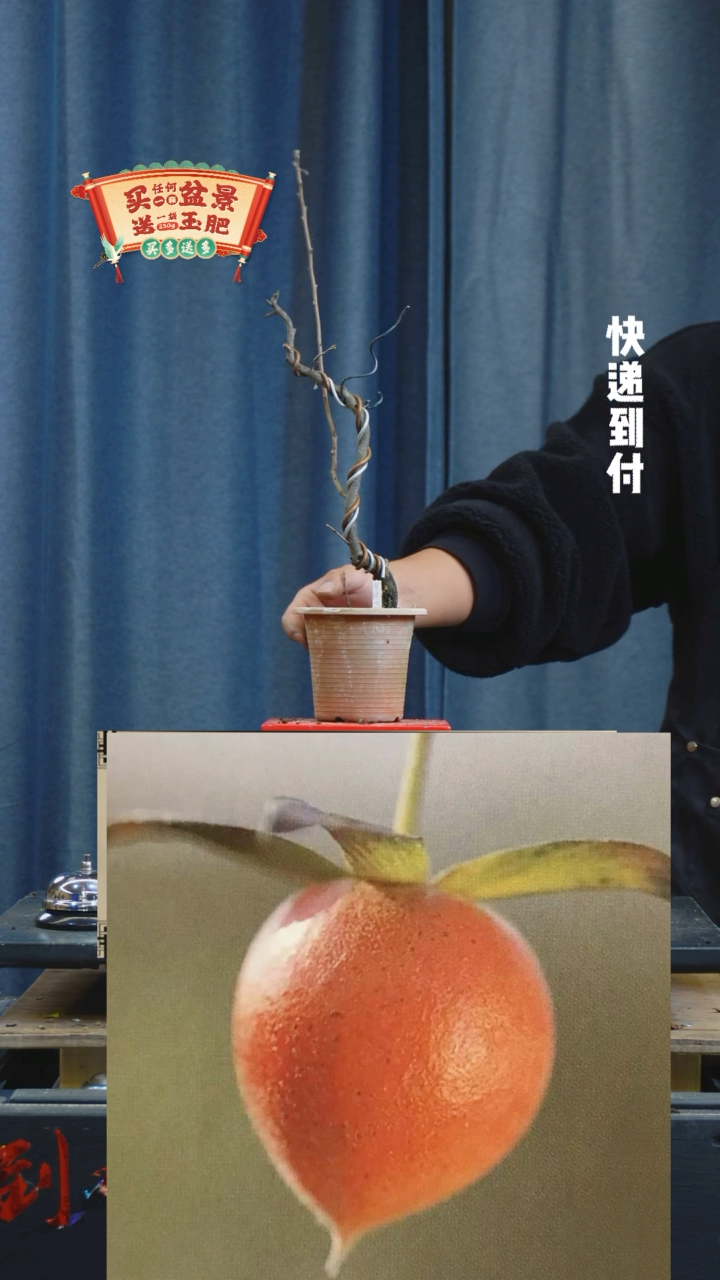 【闪购商品】1092老鸦