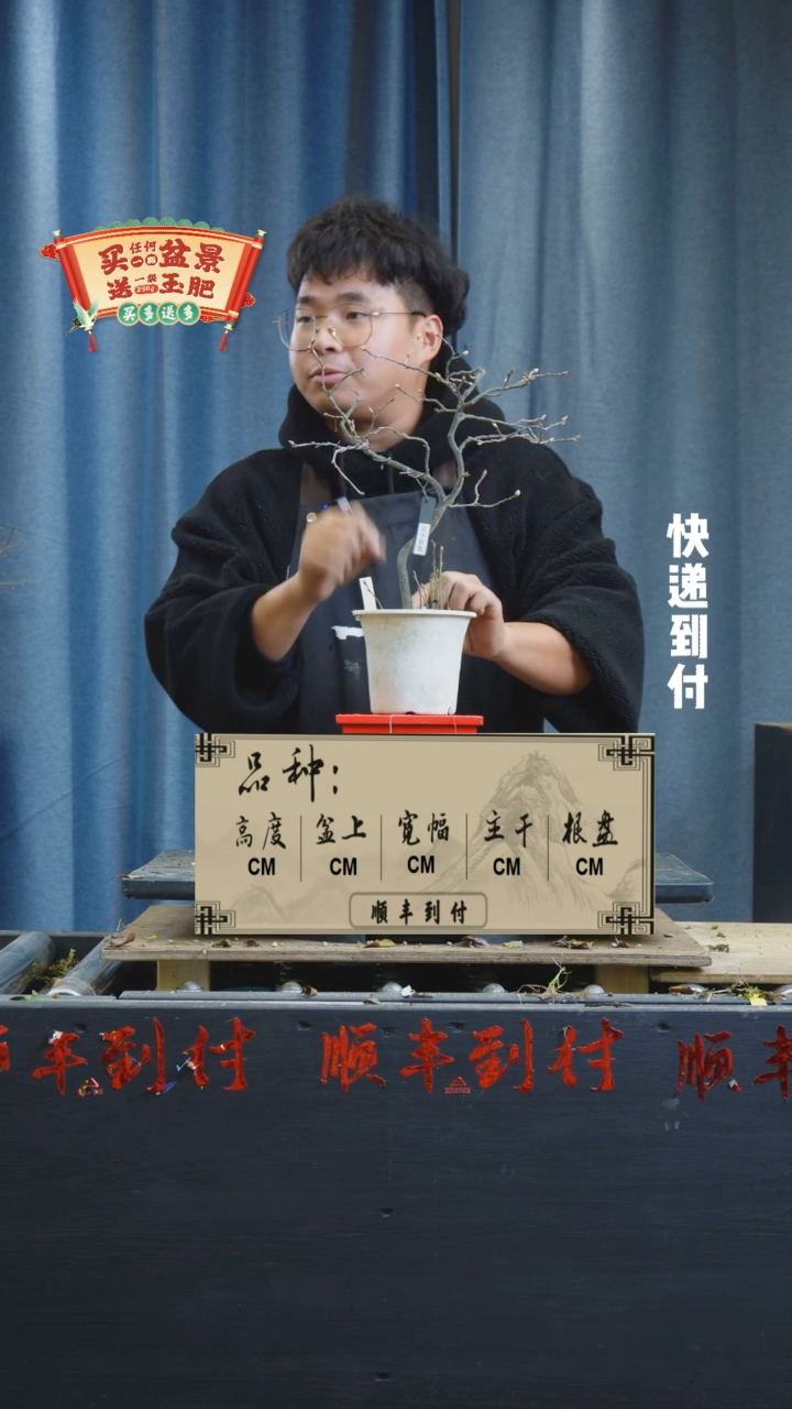 【闪购商品】1190老鸦