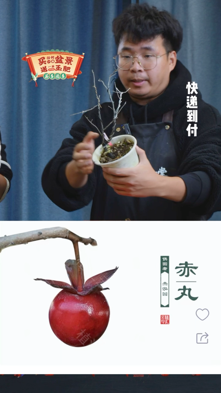 【闪购商品】1082老鸦