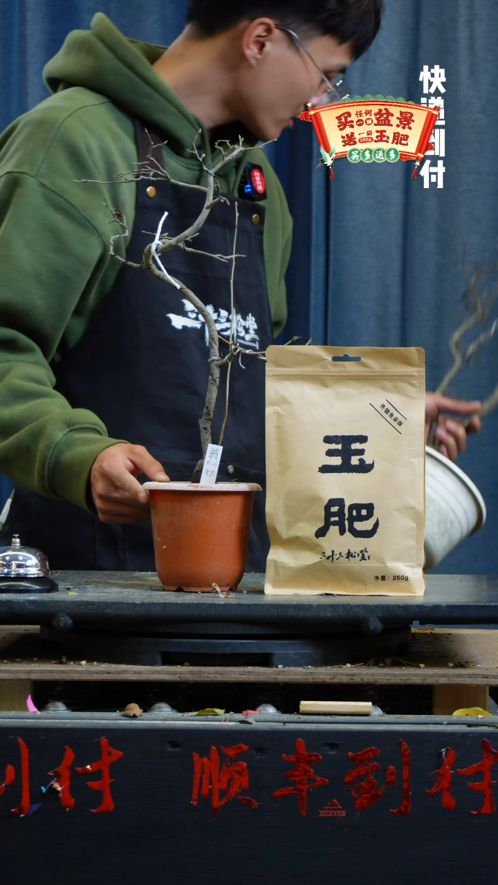 【闪购商品】11g300老鸦