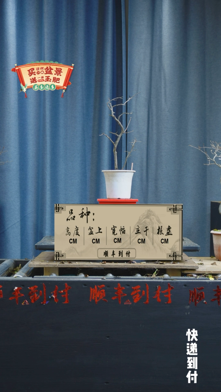 【闪购商品】1183老鸦