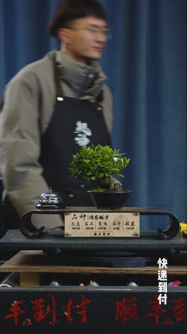 【闪购商品】·1565清誉栀子bubaoyou