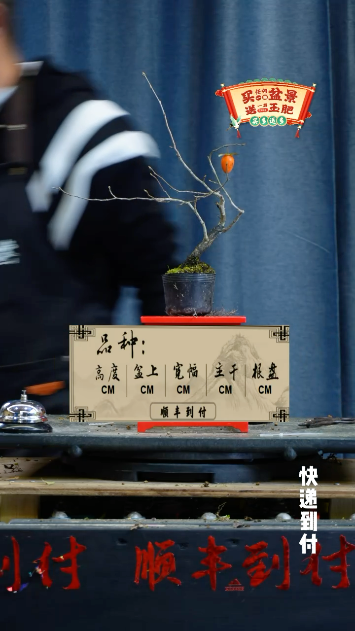 【闪购商品】1702老鸦