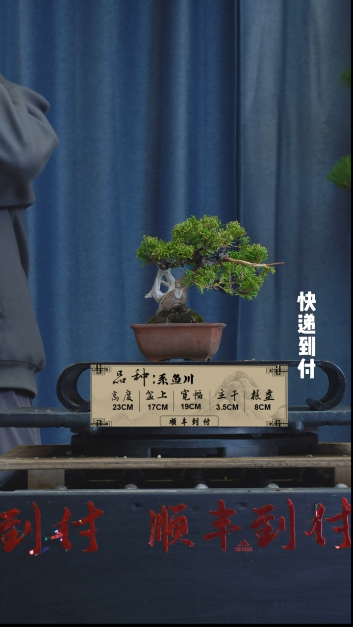 【闪购商品】1z433  系鱼川 不包邮