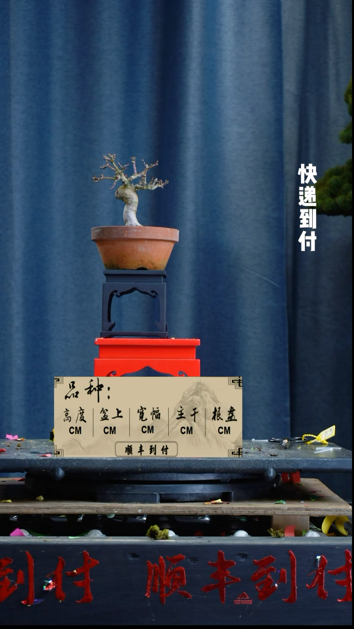 【闪购商品】1L237狮子头bubaoyou