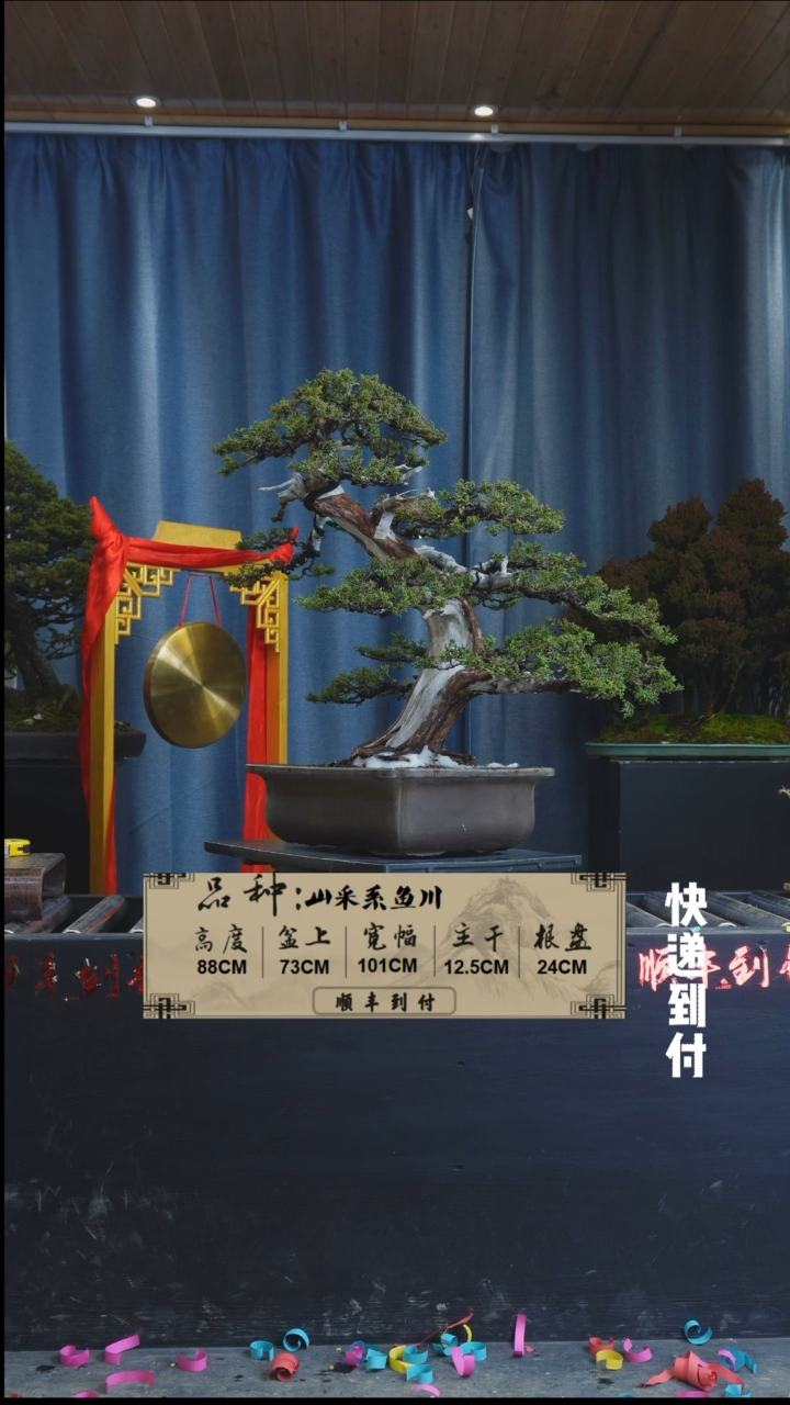 【闪购商品】1l056 系鱼川  不包邮