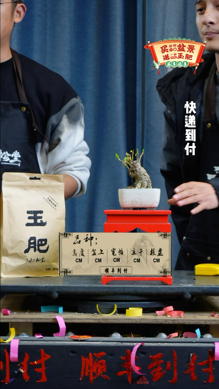 【闪购商品】1454连翘