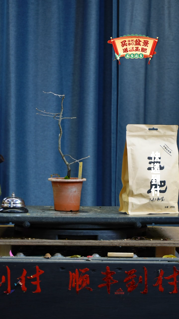 【闪购商品】1384老鸦bubaoyou