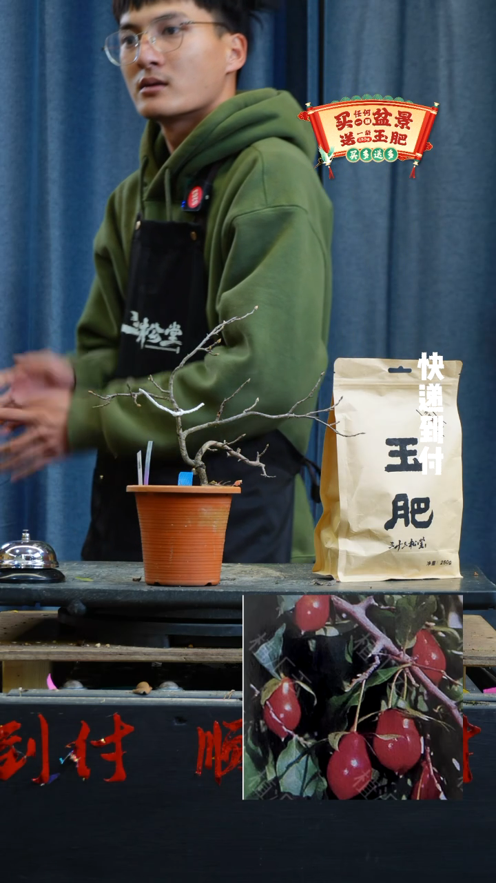 【闪购商品】1372老鸦