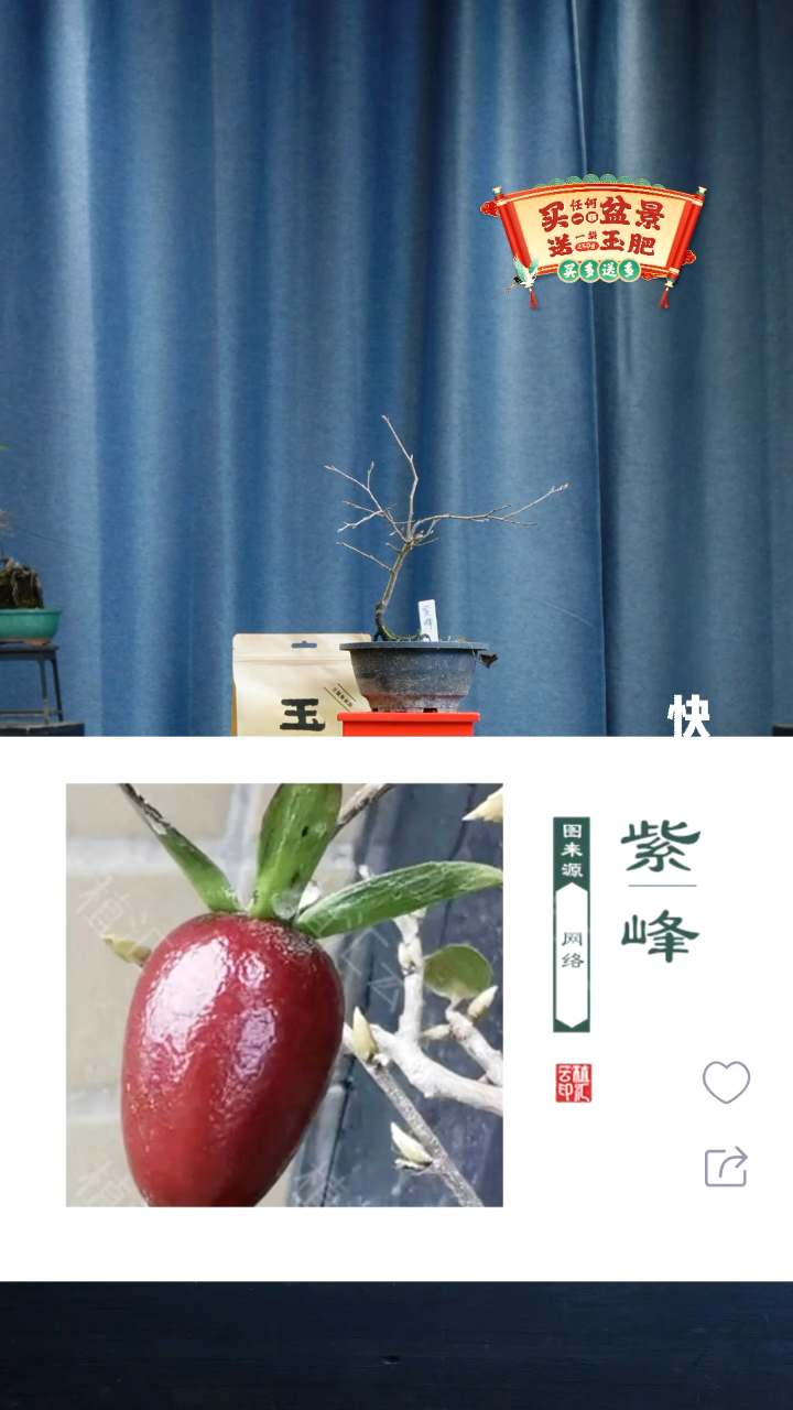 【闪购商品】1812老鸦