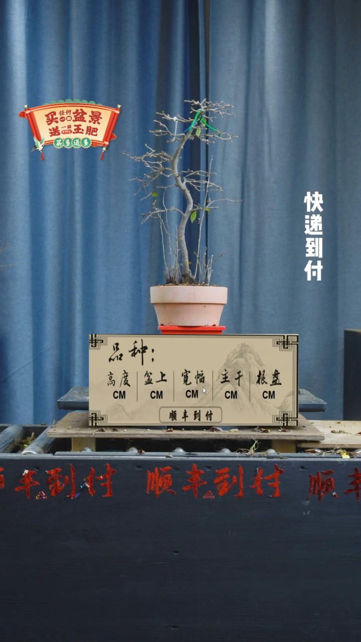 【闪购商品】1175老鸦
