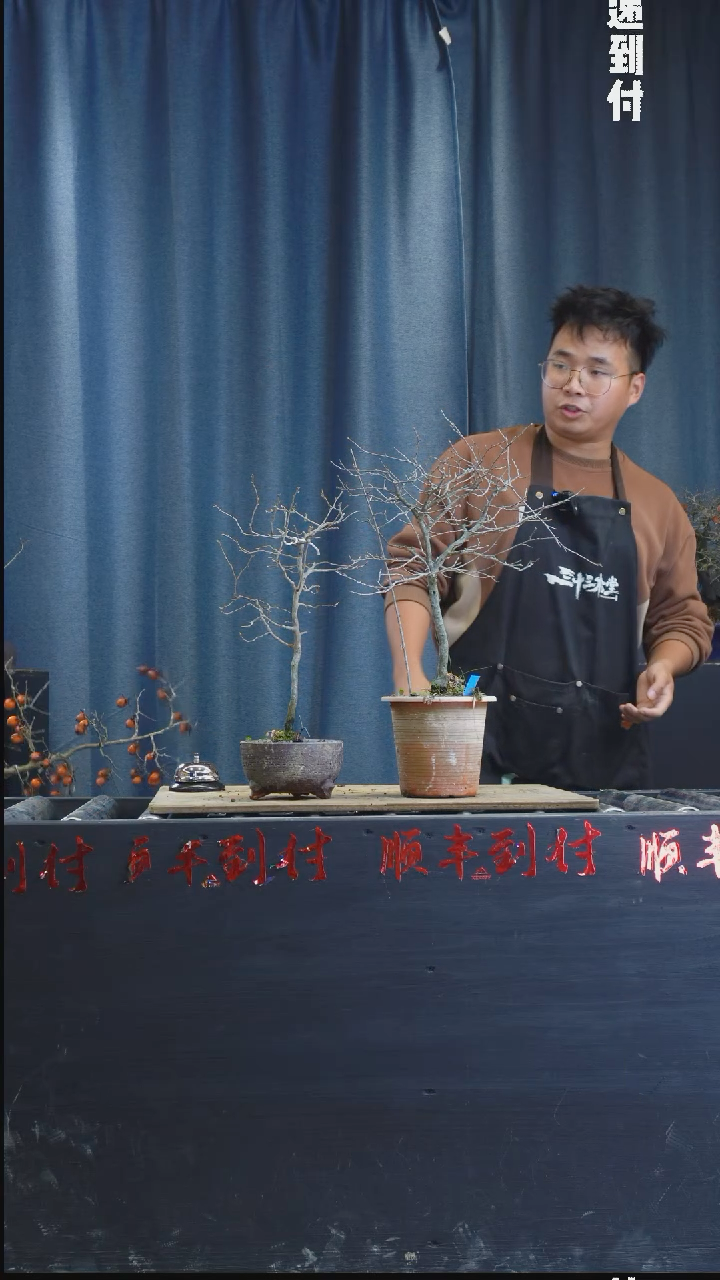 【闪购商品】1018两颗老鸦
