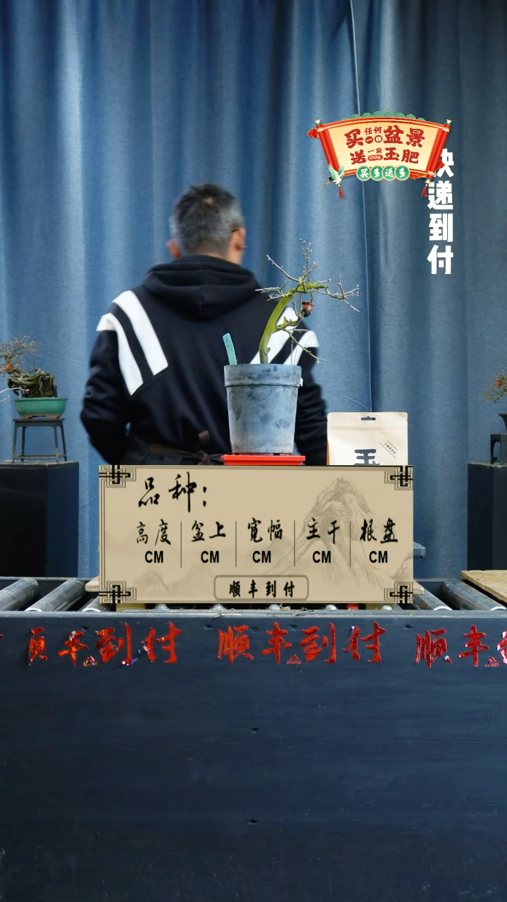 【闪购商品】1698老鸦