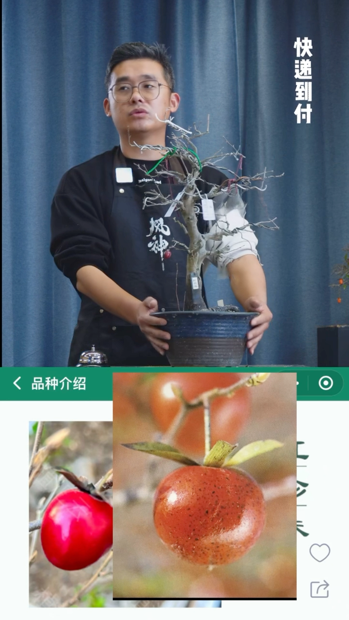 【闪购商品】1z056红珍珠
