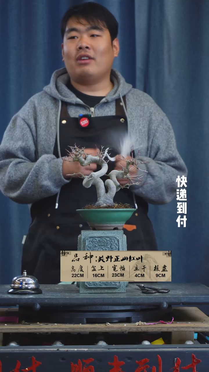 【闪购商品】1F970山红叶 不包邮
