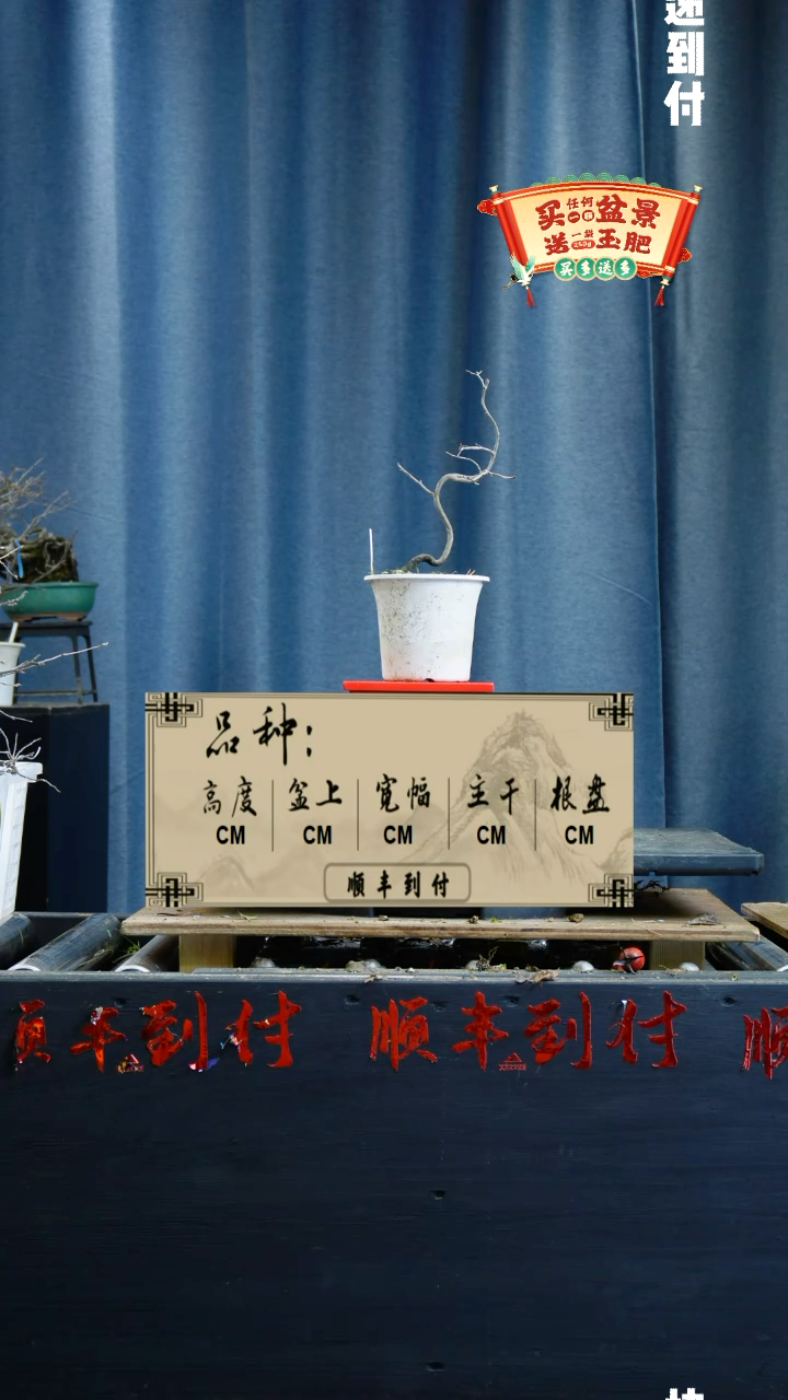 【闪购商品】1760老鸦