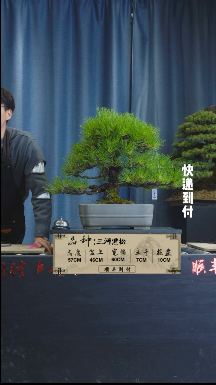【闪购商品】1L011三河黑松bubaoyou