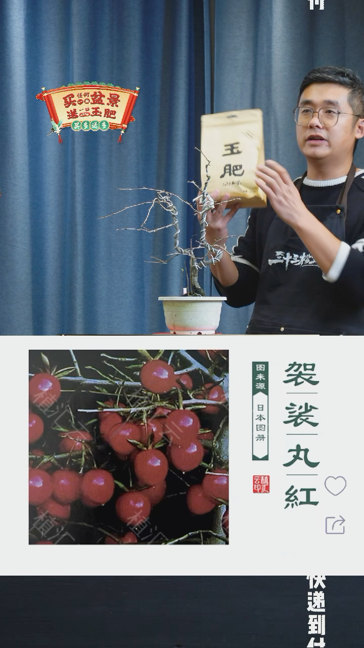 【闪购商品】1037老鸦