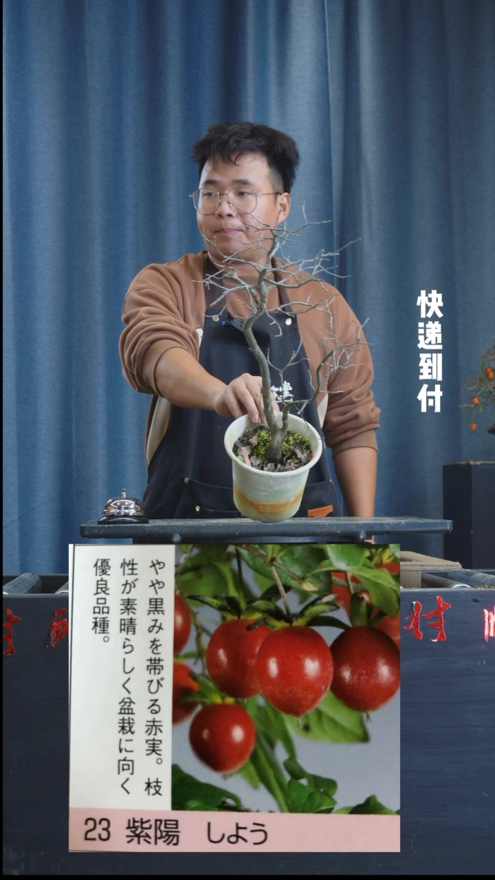 【闪购商品】1z097老鸦