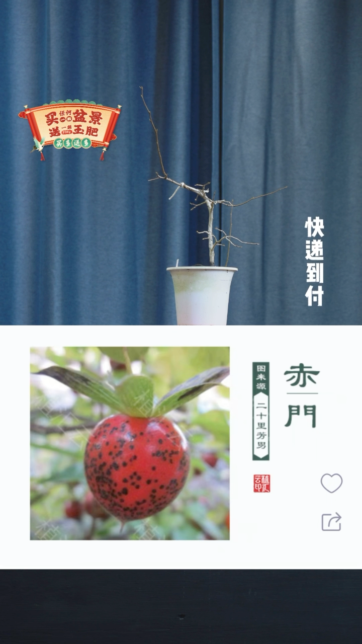 【闪购商品】1123赤门