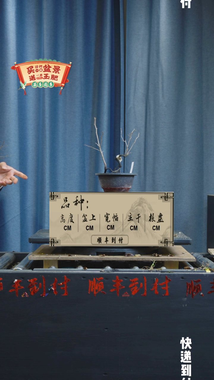 【闪购商品】1117姬票单