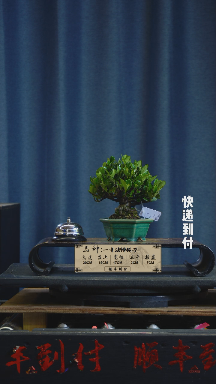 【闪购商品】1g564一寸法师bubaoyou