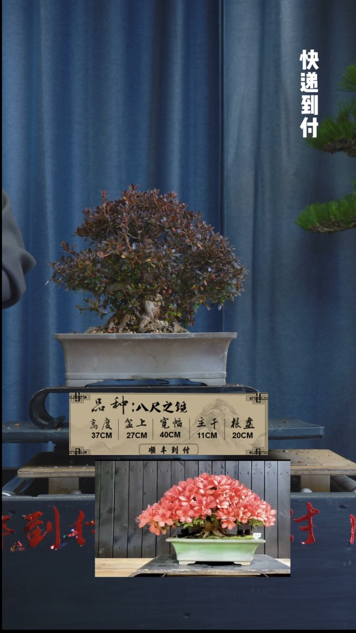【闪购商品】1z407  八尺之镜  不包邮