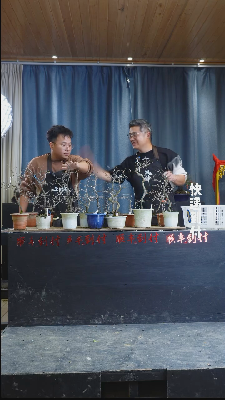 【闪购商品】1z041 20颗老鸦bubaoyou