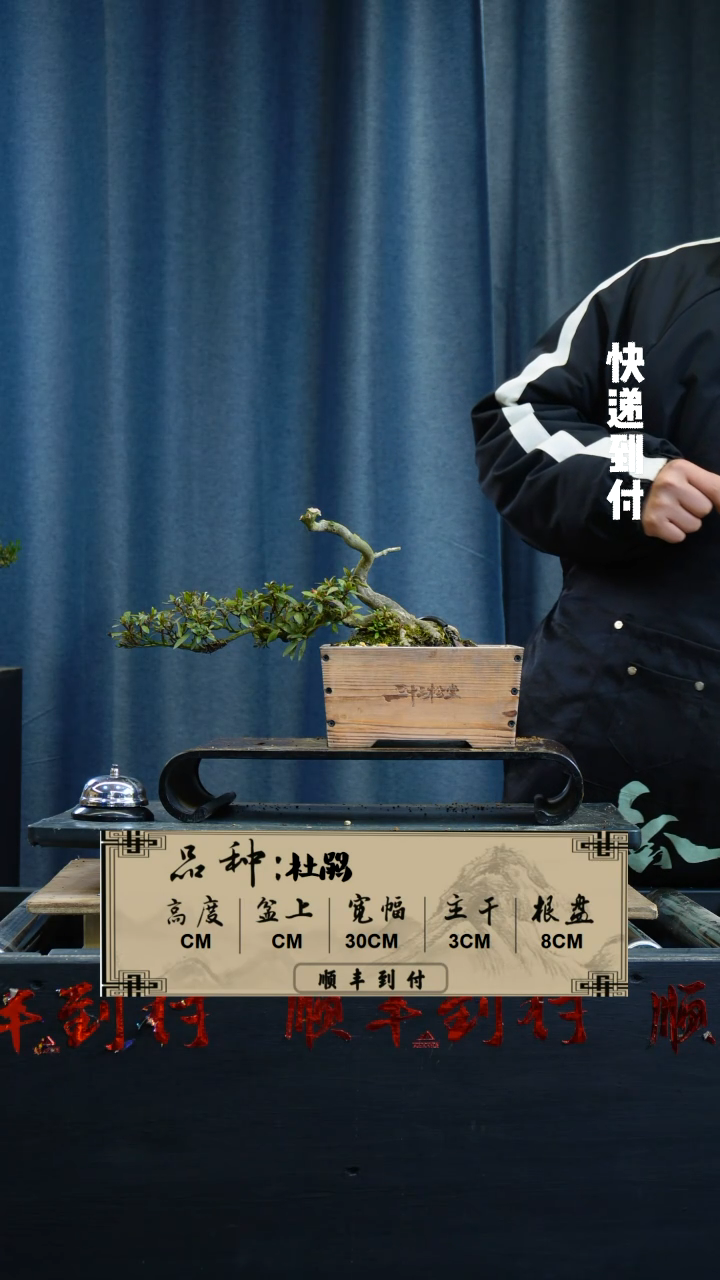 【闪购商品】1G540杜鹃bubaoyou