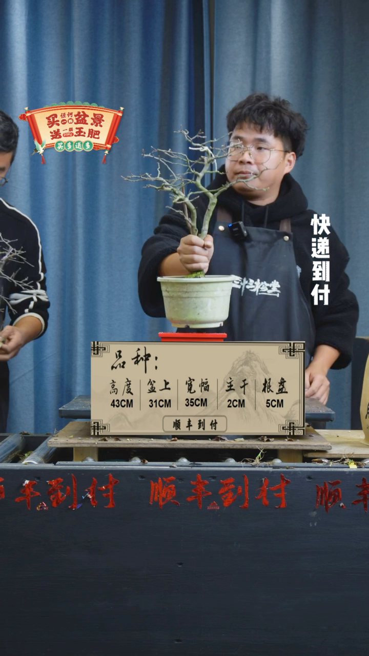 【闪购商品】1163老鸦