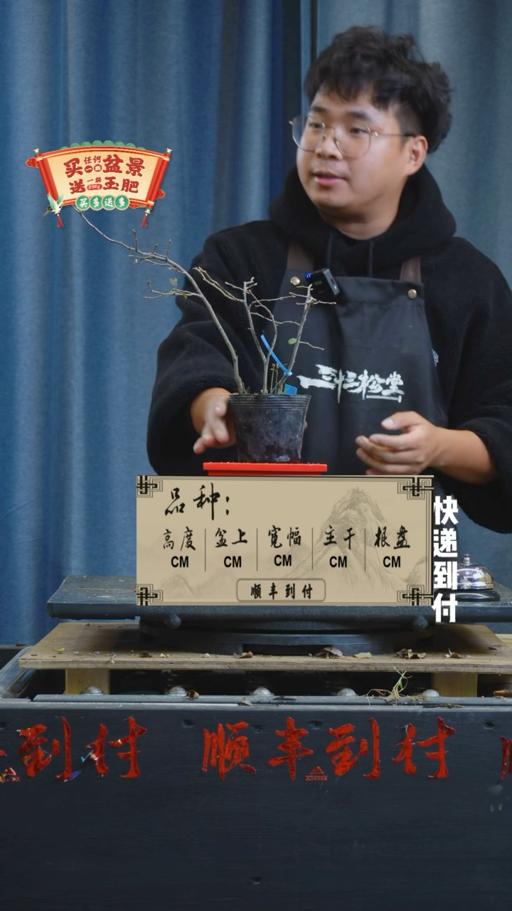 【闪购商品】1147老鸦