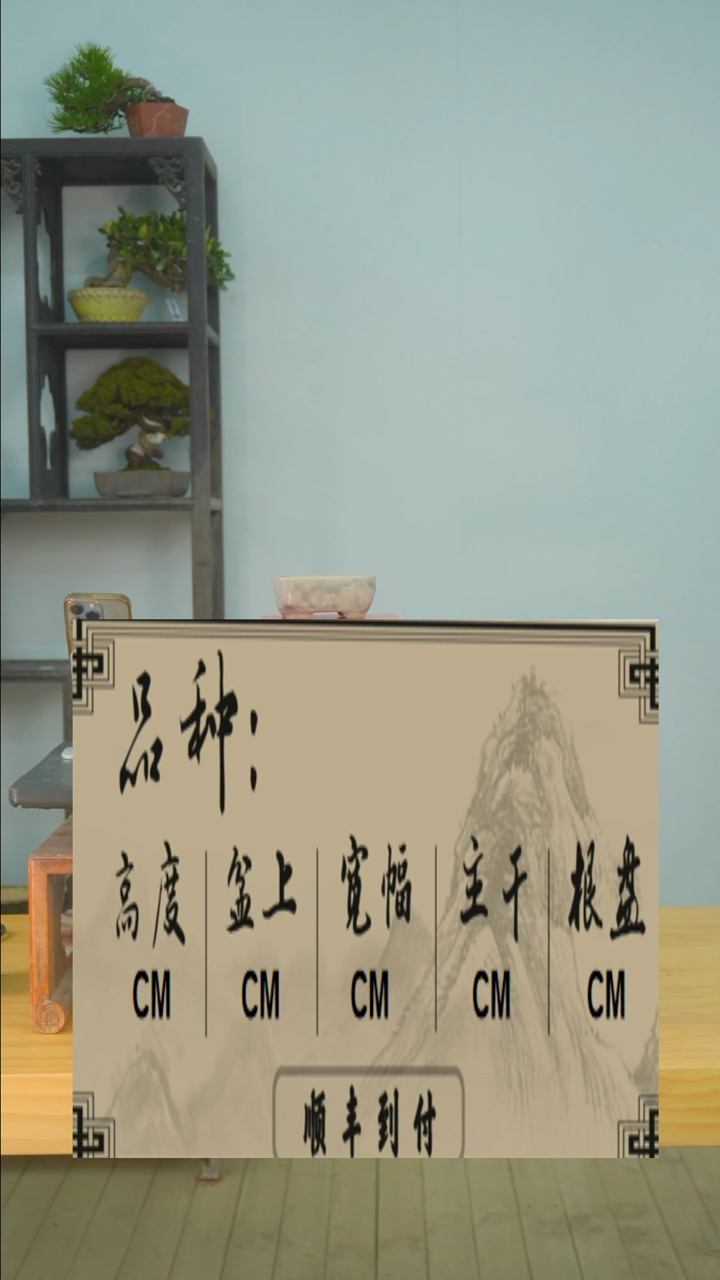 【闪购商品】1f240盆bubaoyou