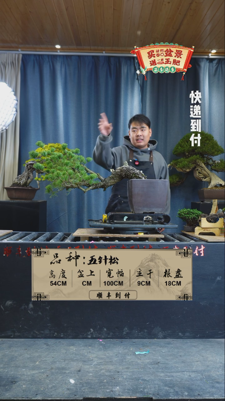 【闪购商品】1x134  五针  不包邮
