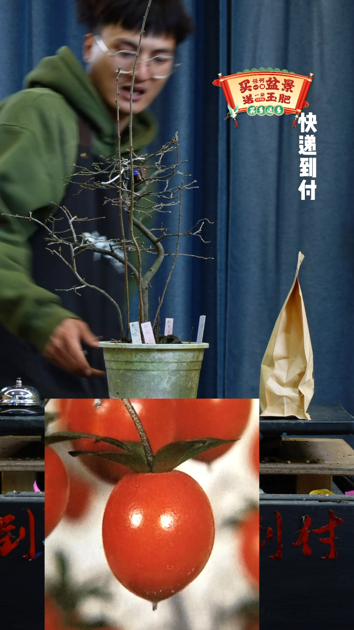 【闪购商品】1373老鸦bubaoyou