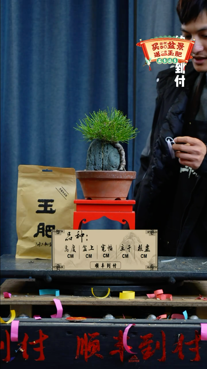 【闪购商品】1439黑松
