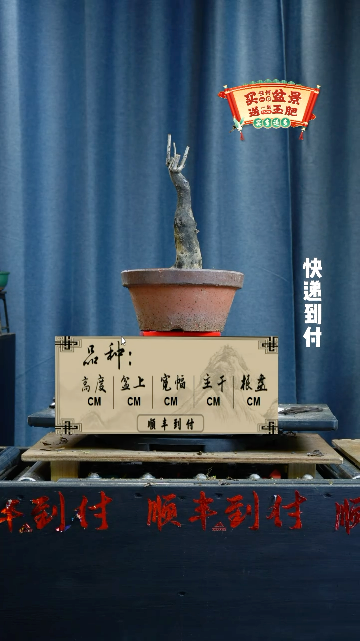 【闪购商品】1718老鸦