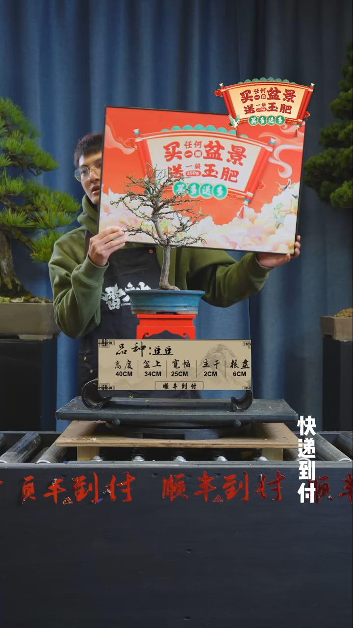 【闪购商品】1g618豆豆bubaoyou