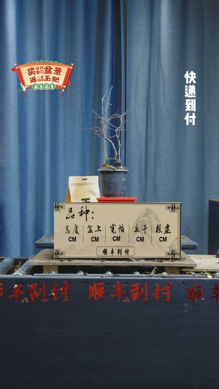 【闪购商品】1170老鸦