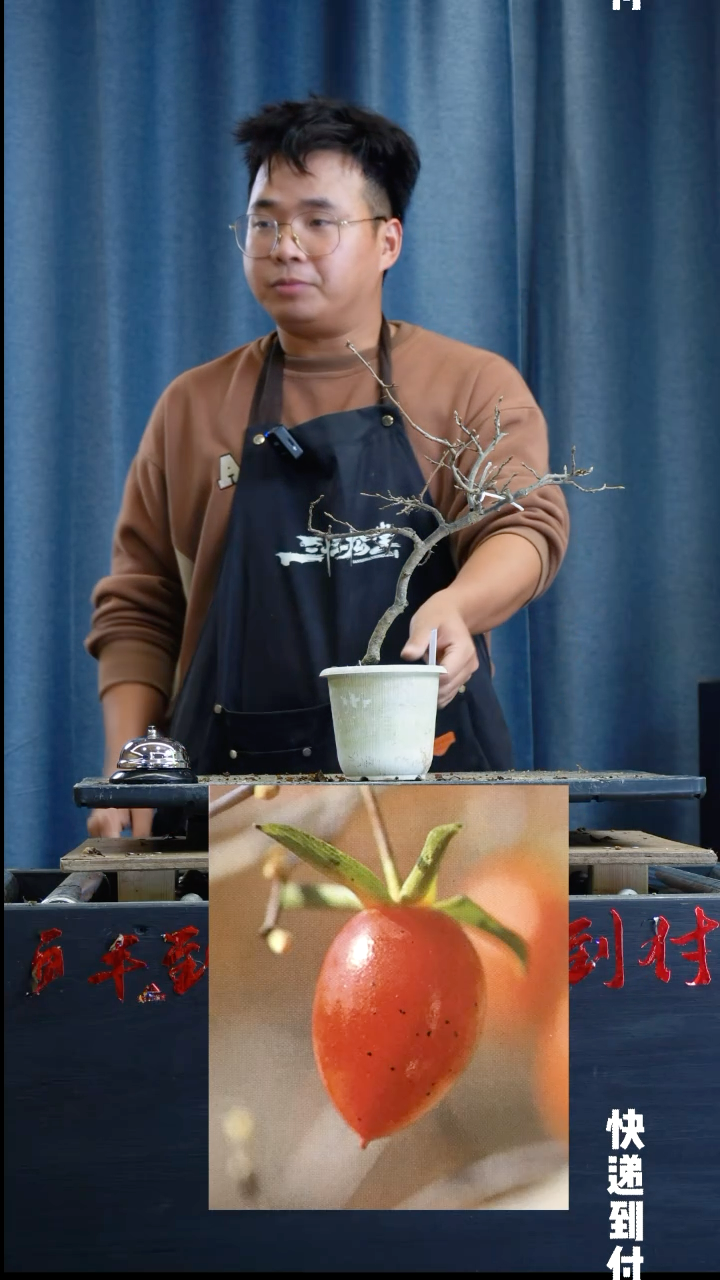 【闪购商品】1z137老鸦