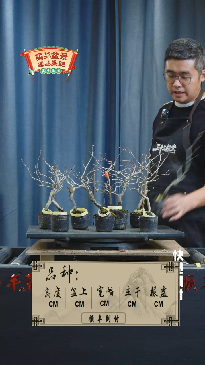 【闪购商品】1139老鸦一颗随机发货