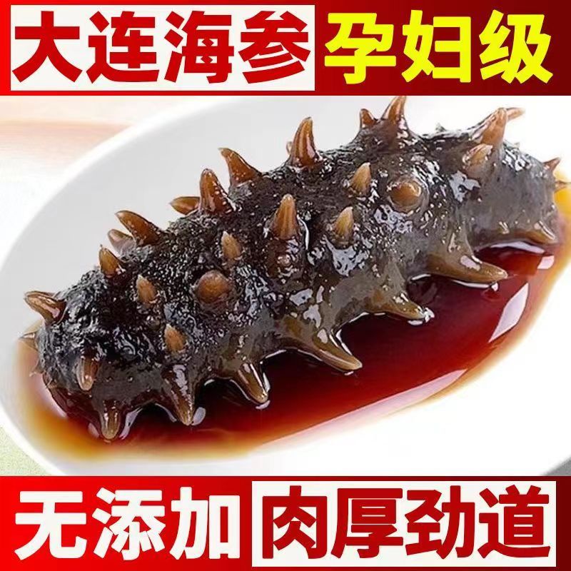 大连鲜食海参 深海低播海参每斤13-18只