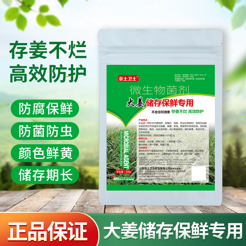 大姜储存保鲜套餐  防腐保鲜 防线虫 蛆拱头 延长储存期 颜色鲜黄
