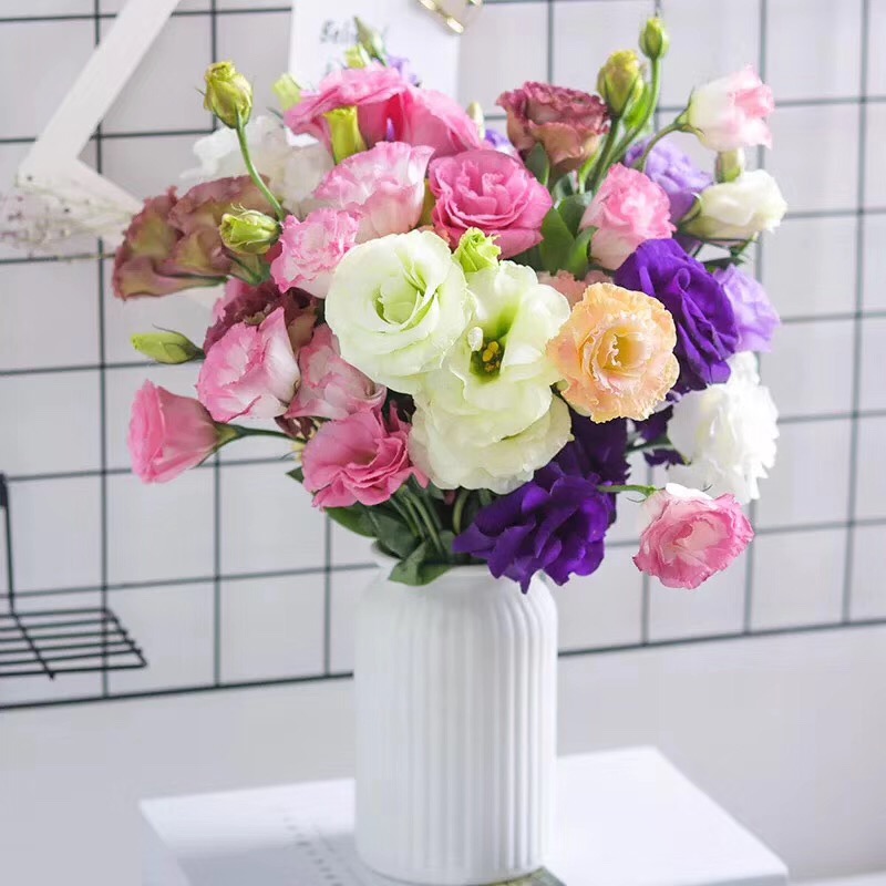 随机混色洋桔梗一大把    云南基地鲜花   基地直发