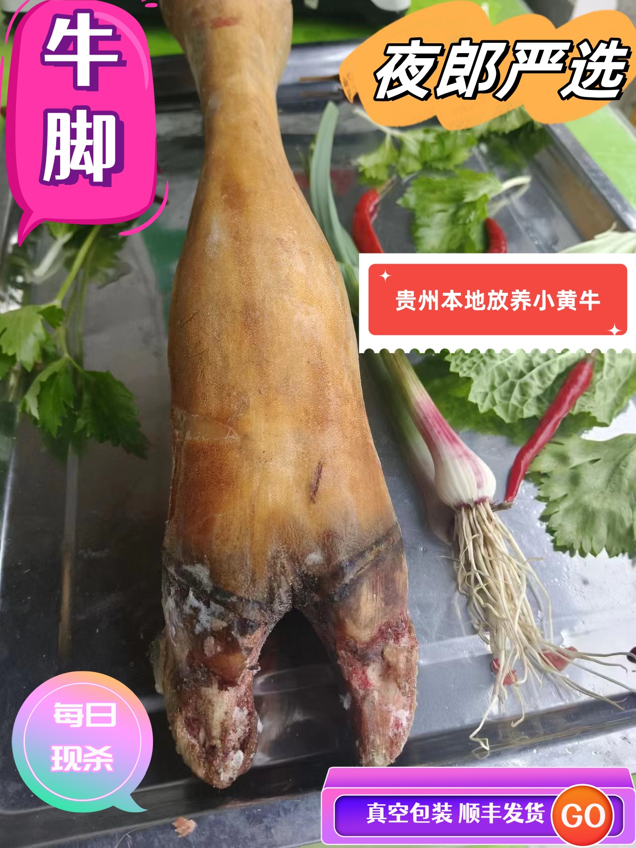 贵州放养小黄牛牛脚