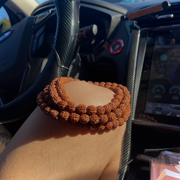 金刚菩提原桩龙1.0