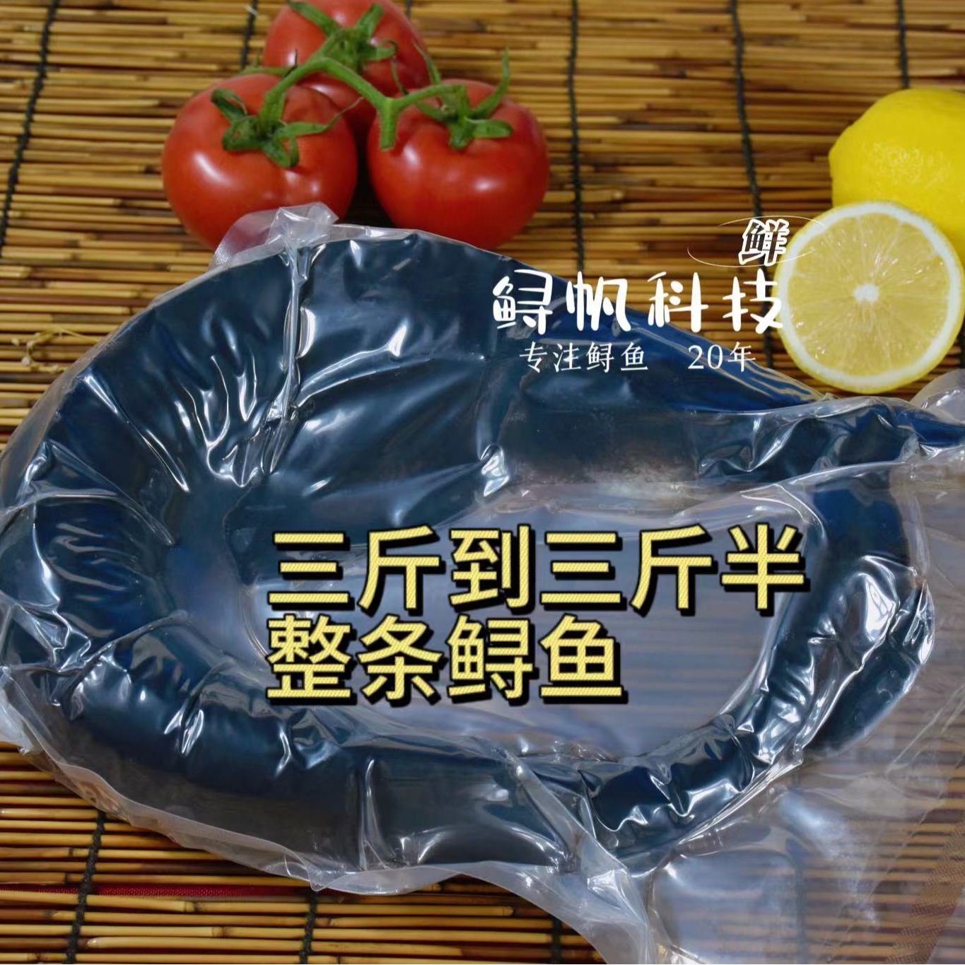 【鲟帆】【试吃简包装】石家庄鲟龙鱼试吃1条3斤/条毛重 现杀冰鲜水产