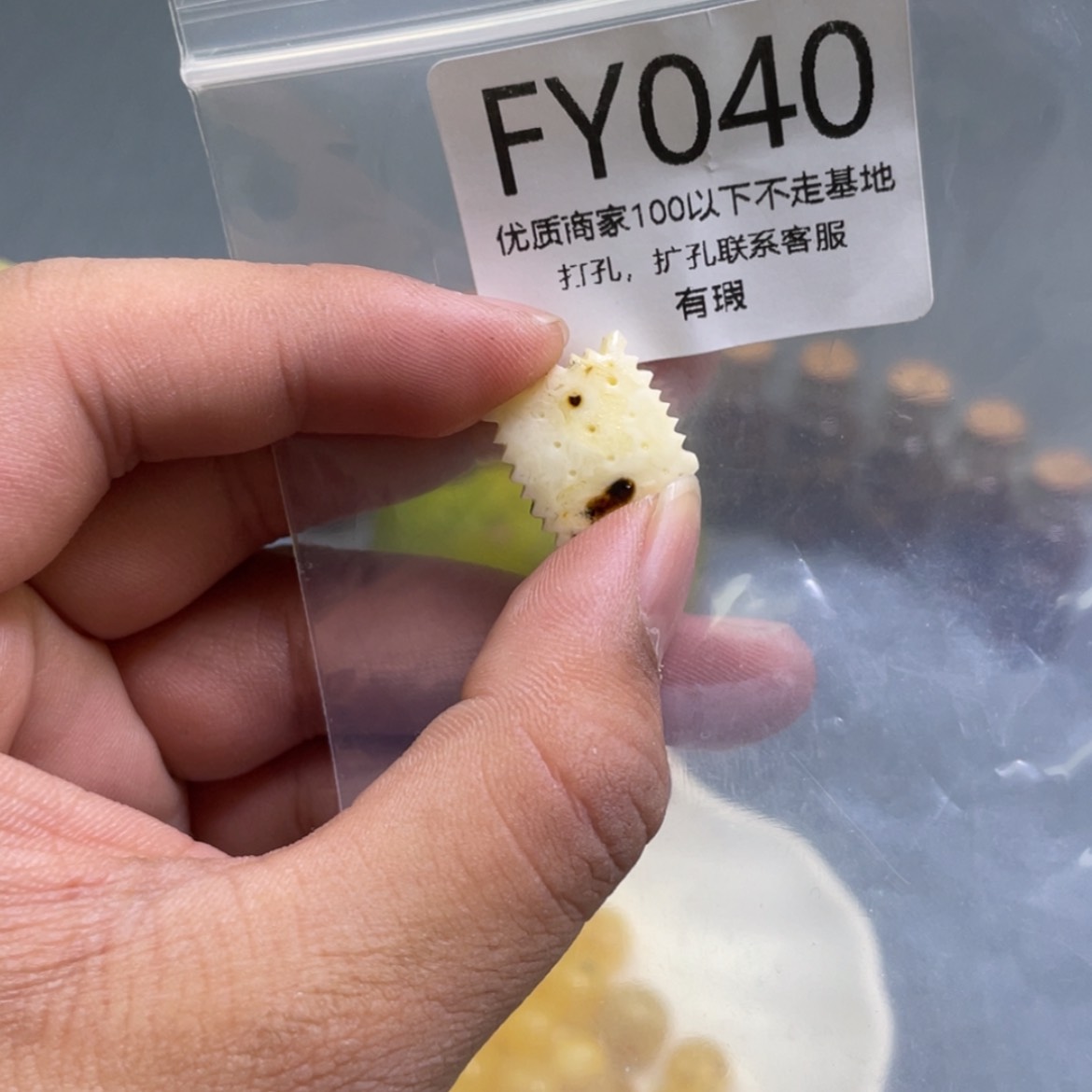 【闪购商品】琥珀珠宝奇石未镶嵌